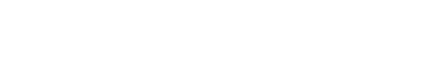 Local Web SA